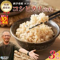 ふるさと納税 西予市 <令和7年産 西予市産 特別栽培米 エコえひめ コシヒカリ 玄米 約3kg>国産 | Yahoo!ふるさと納税