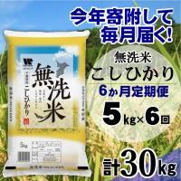 ふるさと納税 大網白里市 【毎月定期便】コシヒカリ 無洗米 5kg(5kg×1袋)全6回 | Yahoo!ふるさと納税