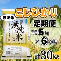 ふるさと納税 大網白里市 【毎月定期便】コシヒカリ 無洗米 5kg (5kg×1袋)全6回 | Yahoo!ふるさと納税