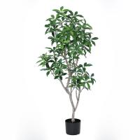 《 フェイクグリーン 観葉植物 》 ◆とりよせ品◆Asca(アスカ) 【メーカー直送】ローレルツリー(ポット付)135cm《代引不可・他商品との同梱不可》 観葉植物 | 造花ドライフラワー専門問屋花びし