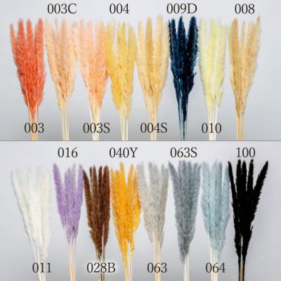 ❇️ドライフラワー 花材❣️5種類 造花ドライフラワー専門問屋花びし - 穂系｜Yahoo!ショッピング