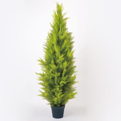 ゴールドクレスト フェイクのおすすめ人気商品一覧 通販 - Yahoo