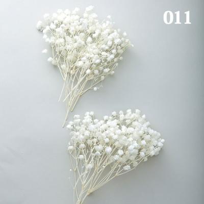 造花ドライフラワー専門問屋花びし - カスミ草｜Yahoo!ショッピング