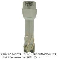 HiKOKI　HiKOKIスチールコア(N)18mmT50 　0037-4520 | コジマYahoo!店