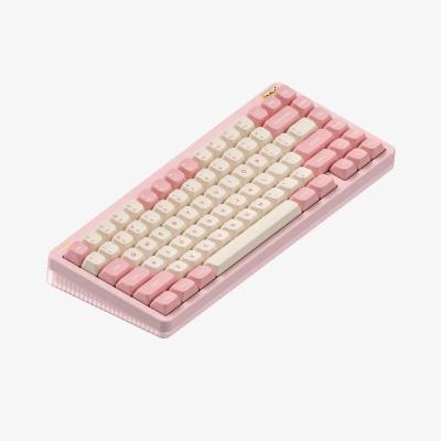 【美品】Nuphy Halo75v1 マットブラック/ Rose Glacier NuPhy®︎ Halo75 - GreenKeys(グリーンキーズ)