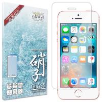 SHIZUKAWILL　iPhone SE 第1世代/iPhone 5s/iPhone 5 ガラスフィルム　APIPSEGL | コジマYahoo!店