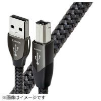 オーディオクエスト　USBケーブル　USB2CAR1.5M | コジマYahoo!店