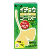 井藤漢方製薬　イチョウDXゴールド 240粒　 | コジマYahoo!店