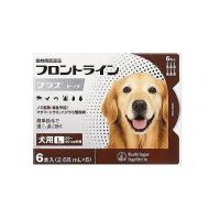 【動物用医薬品】フロントラインプラスドッグ 犬用 L 20〜40kg未満 6本入 | ドラッグドットコムネクスト