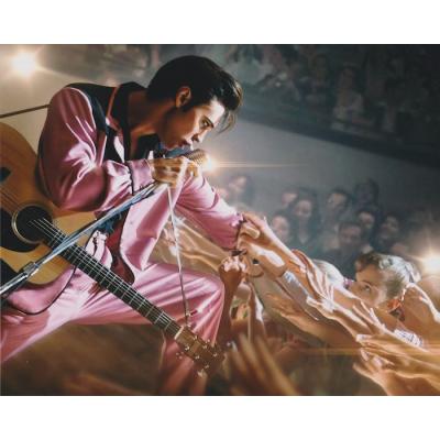 エルビス・プレスリー ネームプレート　希少品　激レア 値引き　グリーン エルビス・プレスリー ネームプレート 希少品 激レア 値引き