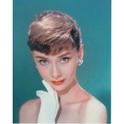 オードリー・ヘップバーンのおすすめ人気商品一覧 通販 - Yahoo