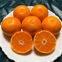 ふるさと納税 湯浅町 有田みかん(訳あり・サイズ混合)約5kg | さとふる