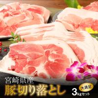 ふるさと納税 木城町 宮崎県産豚切落し3kg(500g×6パック) | さとふる