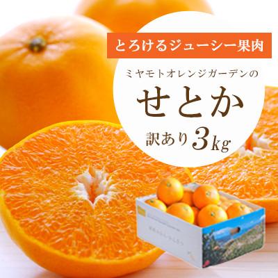 ミヤモトオレンジガーデン 商品一覧 - さとふる - 売れ筋通販 - Yahoo
