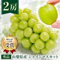 ふるさと納税 山梨市 【農林水産大臣賞受賞!!】シャインマスカット 2房 1〜1.5kg | さとふる