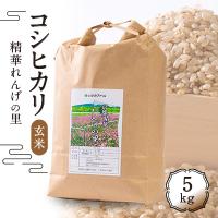 ふるさと納税 精華町 コシヒカリ「精華れんげの里」玄米5キロ | さとふる