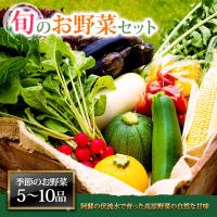 ふるさと納税 阿蘇市 <畑から直送>季節のお野菜セット