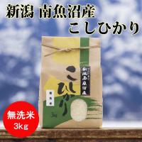 ふるさと納税 南魚沼市 【令和5年産】南魚沼産こしひかり(無洗米)【3kg】 | さとふる