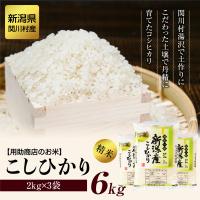 ふるさと納税 関川村 岩船産コシヒカリ 用助商店のお米 こしひかり精米6kg(2kg×3袋) | さとふる