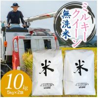 ふるさと納税 鶴岡市 【令和6年産】山形県庄内産 小池半左衛門のお米 ミルキークイーン 無洗米 5kg×2袋 計10kg | さとふる