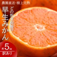 ふるさと納税 日高町 【先行受付】訳あり・ご家庭用　早生みかん　約5kg | さとふる