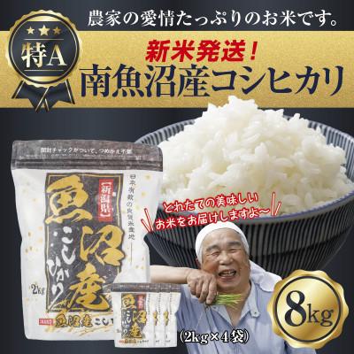 新潟県魚沼産コシヒカリ 8kgの商品一覧 通販 - Yahoo!ショッピング 新潟県魚沼産コシヒカリ 8kgの商品一覧 通販 - Yahoo!ショッピング