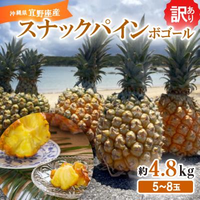 訳あり（フルーツ パイナップル）｜フルーツ | 食品 のおすすめ人気