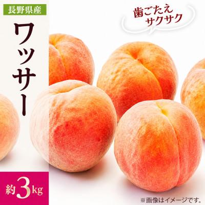 ワッサー 桃のおすすめ人気ランキングTOP59 - Yahoo!ショッピング