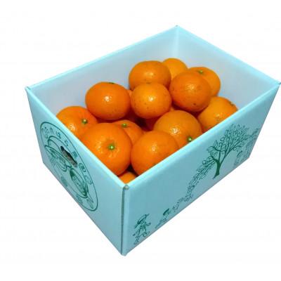 たんかん 徳之島（フルーツ） | 食品 のおすすめ人気商品一覧 通販