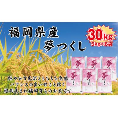 令和2年産 夢つくし 玄米 30kg白川米