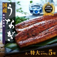 ふるさと納税 大崎町 鹿児島県産うなぎ長蒲焼5尾　合計800g | さとふる