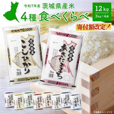さとふる - ミルキークィーン｜Yahoo!ショッピング