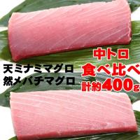 ふるさと納税 室戸市 こだわりの天然ミナミマグロ　天然メバチマグロ食べくらべセット　中トロ各1柵 | さとふる