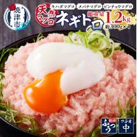 ふるさと納税 焼津市 天然まぐろ ネギトロ 約1.2kg(a10-912) | さとふる