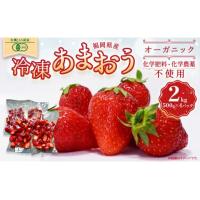 ふるさと納税 宗像市 オーガニック冷凍あまおう 2kg (500g×4パック)【伊世いちご畑】_HA1316 | さとふる