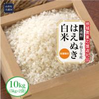 ふるさと納税 大蔵村 令和5年産　はえぬき[白米]10kg(5kg×2袋)〜地域農業応援返礼品〜 | さとふる