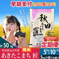 ふるさと納税 仙北市 【白米】令和6年産 新米早期受付《定期便10ヶ月》あきたこまち5kg|02_snk-010310s | さとふる