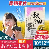 ふるさと納税 仙北市 令和6年産 早期受付新米★10kg あきたこまち精米定期便12回|02_snk-010612s | さとふる