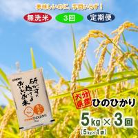 ふるさと納税 国東市 【令和5年産】【3ヶ月定期便】大分県産ひのひかり 無洗米(5kg×3回発送)_2347R | さとふる