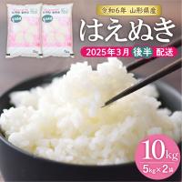 ふるさと納税 東根市 【令和6年産 先行受付】はえぬき10kg (2025年3月後半送付)JA提供 山形県 東根市　 | さとふる