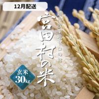 ふるさと納税 宮田村 【先行受付】【令和6年米】減農薬栽培(栽培期間中)コシヒカリ/玄米/30kg/12月配送 | さとふる