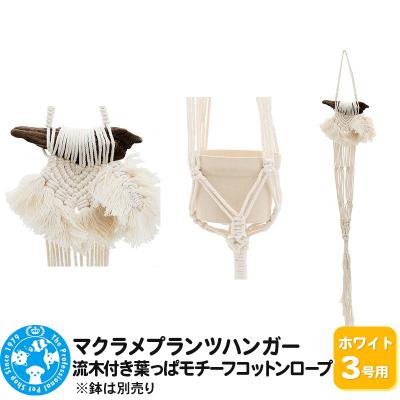 流木☆プランツハンガー 流木☆プランツハンガー