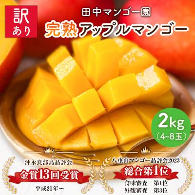 開花確認済 5本! 宮崎マンゴー苗【アップルマンゴー 半耐寒性