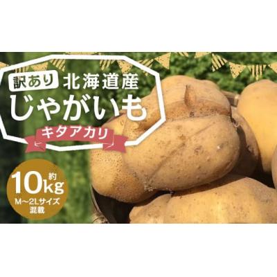 種芋 キタアカリ 10kgのおすすめ人気商品一覧 通販 - Yahoo!ショッピング