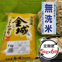 ふるさと納税 浜田市 【毎月定期便】無洗米 浜田市金城町産こしひかり 5kg 全6回 | さとふる