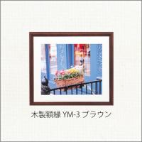 フジカラー 木製額縁 YM-3 六切 ブラウン A151-540 | フイルム&雑貨 写楽