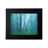 アルミ額縁 ギャラリー 全紙 ブラック AGY-Z-BK ケンコー・トキナー 受発注商品(大型送料適用) | フイルム&雑貨 写楽