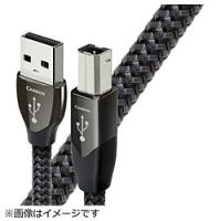オーディオクエスト USBケーブル オーディオクエスト  USB2/CAR/1.5M | ソフマップ Yahoo!店