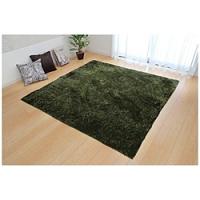 イケヒコ ラグ シャギー調　ラルジュ　185×185cm  グリーン | ソフマップ Yahoo!店
