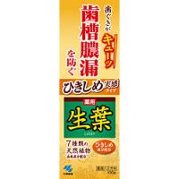 小林製薬 ひきしめ生葉（しょうよう） (100g)【医薬部外品】〔歯磨き粉〕 | ソフマップ Yahoo!店